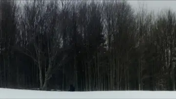Zasłona do filmu "Zły omen" #399232