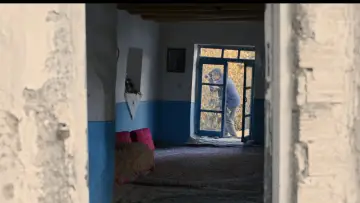 Zasłona do filmu "Niedźwiedzie nie istnieją" #758601