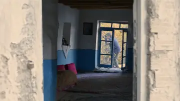 Zasłona do filmu "Niedźwiedzie nie istnieją" #758602