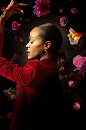 Plakat do filmu "Emilia Pérez" #581520