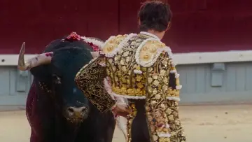 Zasłona do filmu "Popołudnia samotności" #675275