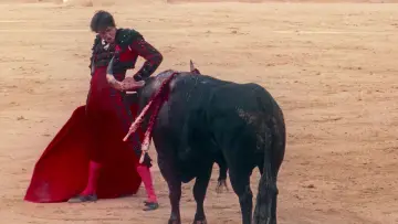 Zasłona do filmu "Popołudnia samotności" #675280