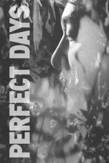 Plakat do filmu "Perfect Days" #366093