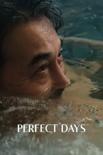 Plakat do filmu "Perfect Days" #463476