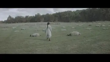 Zasłona do filmu "Brujería" #475585