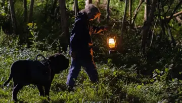 Zasłona do filmu "Mru i ja: Wielka przygoda na cztery łapy" #385344