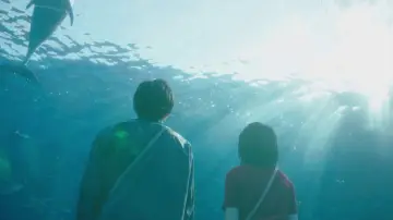 Zasłona do filmu "今夜、世界からこの恋が消えても" #631773
