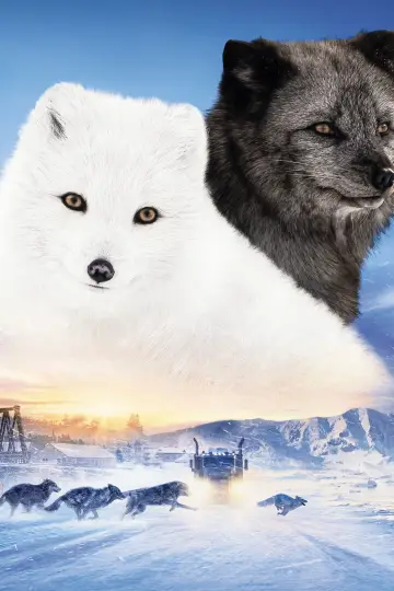 Plakat do filmu "Kina i Yuk" #476374