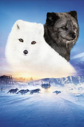 Plakat do filmu "Kina i Yuk" #476375