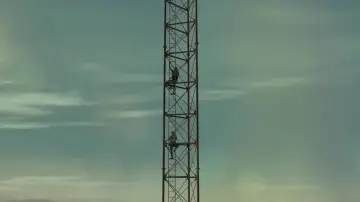 Zasłona do filmu "Nie patrz w dół" #231694