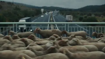 Zasłona do filmu "Bergers" #684533