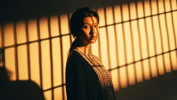 Zasłona do filmu "毒舌大狀" #382919