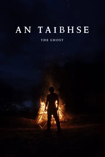 Plakat do filmu "An Taibhse" #916919