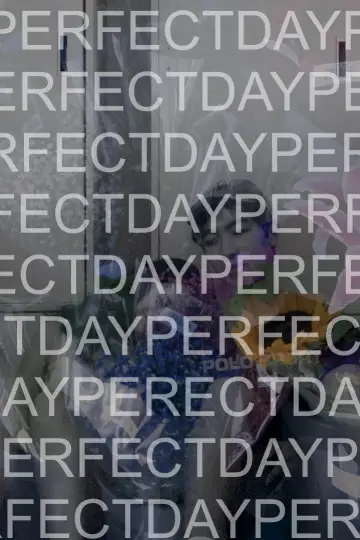 Plakat do filmu "Perfect Day" #1190338