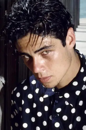 Zdjęcie Benicjo del Toro (Benicio del Toro) #66757