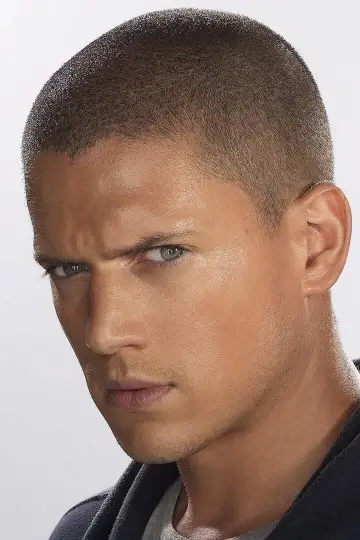 Zdjęcie Wentworth Miller #64728