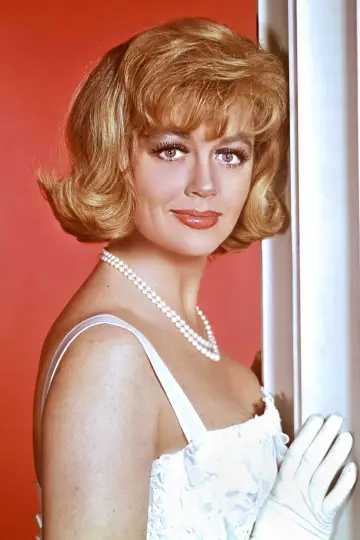 Zdjęcie Dorothy Malone #80517