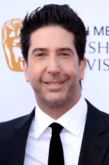 Zdjęcie David Schwimmer #18317