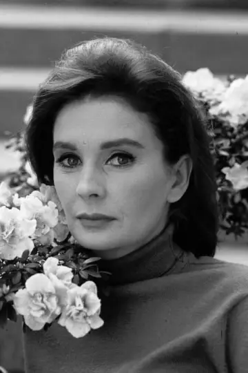 Zdjęcie Jean Simmons #52515
