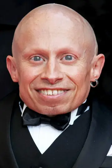 Zdjęcie Verne Troyer #8055