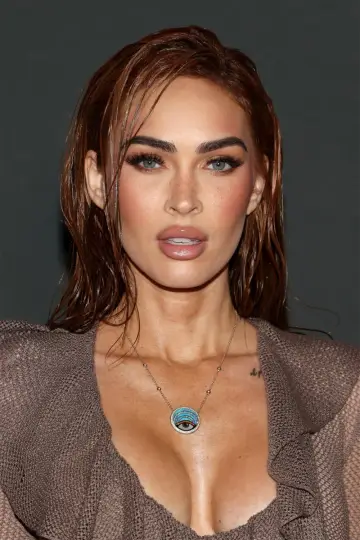 Zdjęcie Megan Foks (Megan Fox) #3275