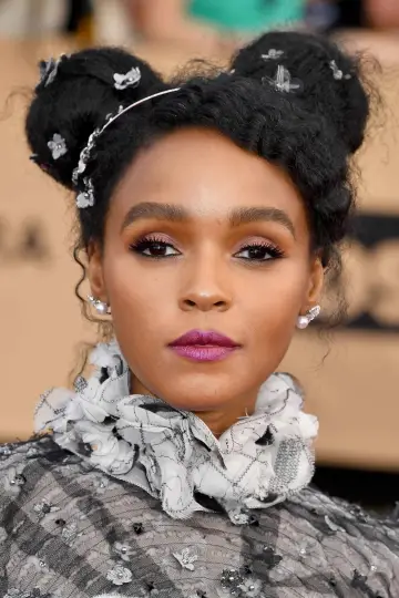 Zdjęcie Janelle Monáe #12913