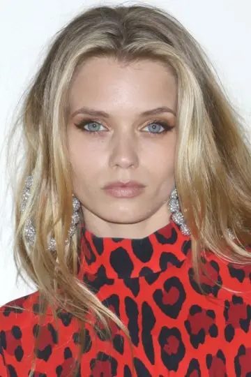 Zdjęcie Ebi Li (Abbey Lee) #9363