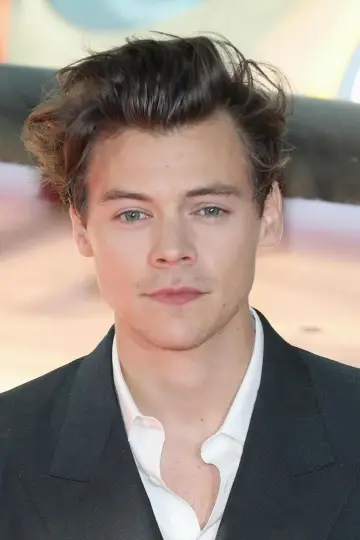 Zdjęcie Harry Styles #37226