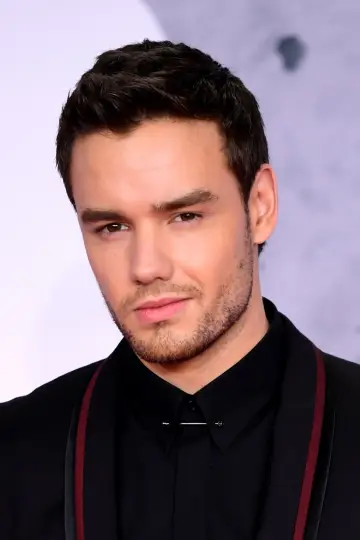 Zdjęcie Liam Payne #49579