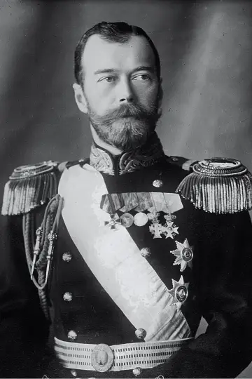 Zdjęcie #454505