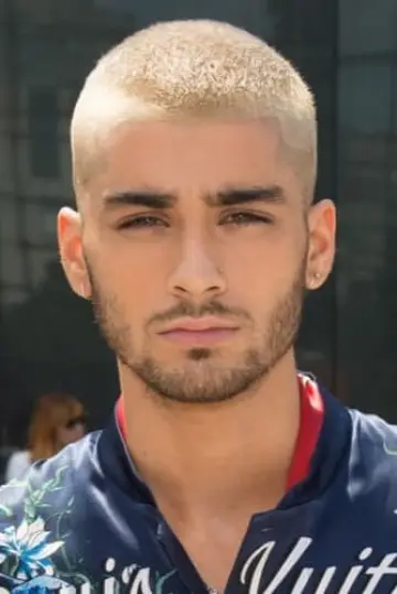 Zdjęcie Zein Malik #290662