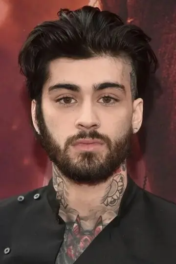 Zdjęcie Zein Malik #290663