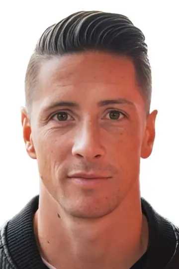 Zdjęcie  (Fernando Torres) #331872