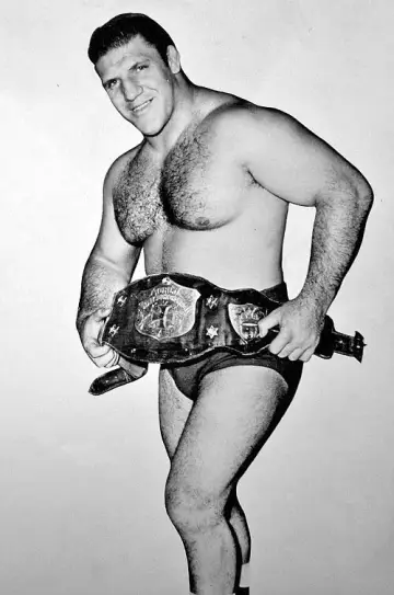 Zdjęcie Bruno Sammartino #630612