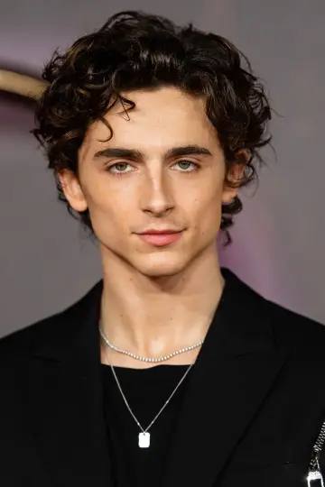 Zdjęcie Timothée Chalamet #1123