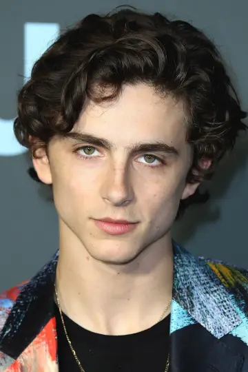 Zdjęcie Timothée Chalamet #1125