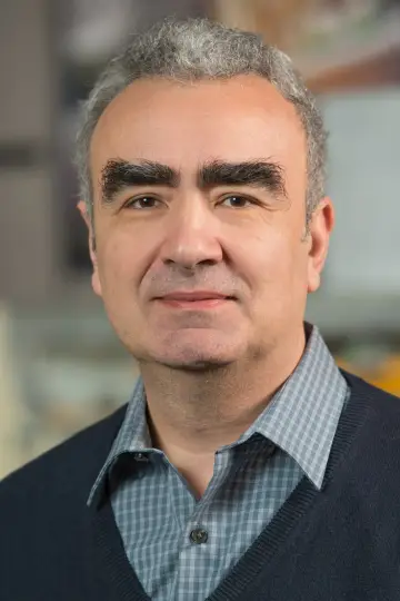 Zdjęcie  #492419