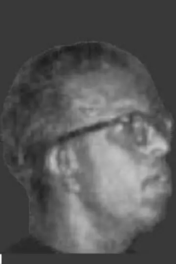 Zdjęcie  #478490