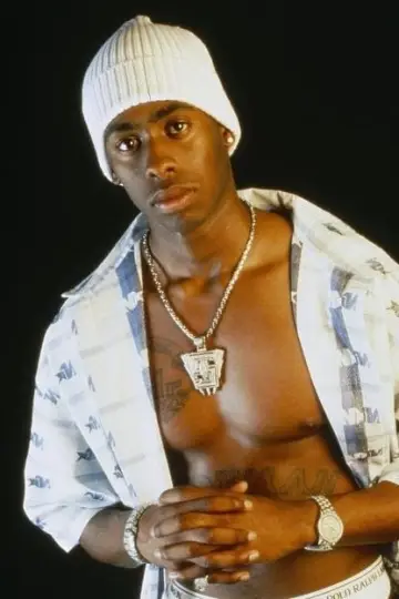 Zdjęcie Silkk The Shocker #86797