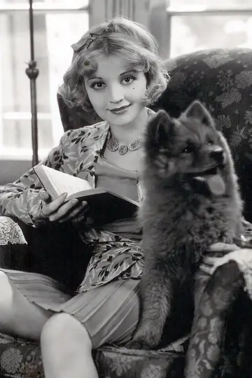 Zdjęcie  (Alice White) #300782