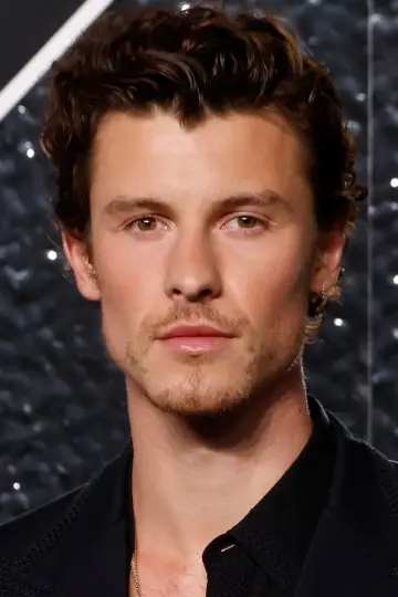 Zdjęcie Szon Mendes (Shawn Mendes) #333768