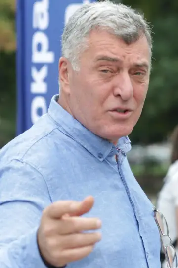 Zdjęcie  #331150
