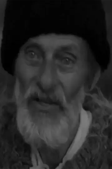 Zdjęcie #527873