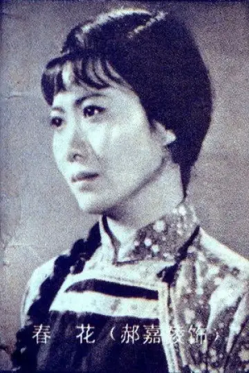 Zdjęcie  #340661