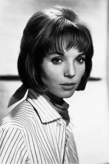 Zdjęcie Elsa Martinelli #115973