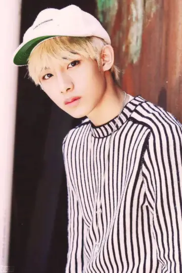 Zdjęcie  (Winwin) #250321