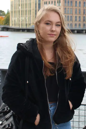 Zdjęcie  #376206