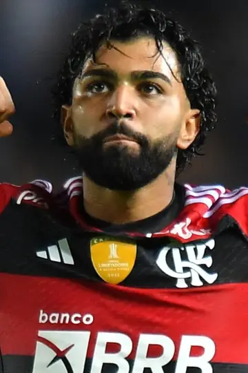 Zdjęcie Gabriel Barbosa #142836