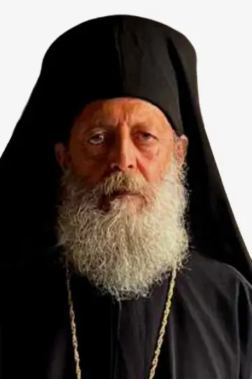 Zdjęcie  #399405