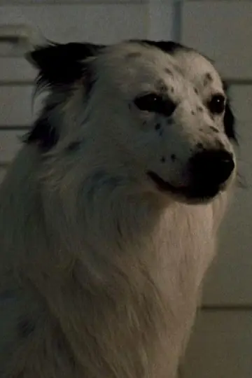 Zdjęcie Jake #334261